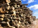 bois lot avant transformation boissec.com Laval Montreal Laurentides